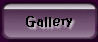 Gallery Home Page