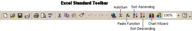 Excel's Standard Toolbar